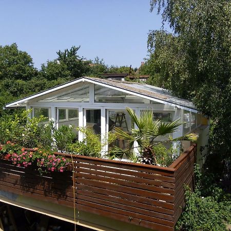 Greenhouse Just 15 Min From The Old Town Братислава Экстерьер фото